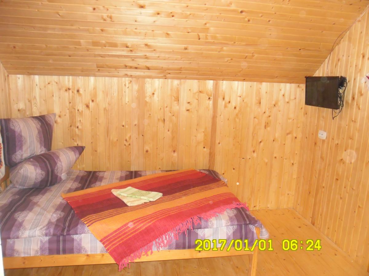 Lisovychok Villa Vorokhta Esterno foto