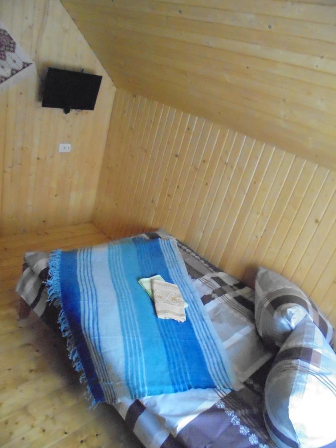 Lisovychok Villa Vorokhta Esterno foto