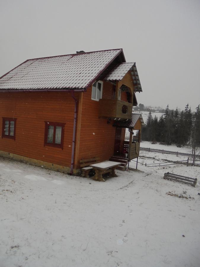 Lisovychok Villa Vorokhta Esterno foto