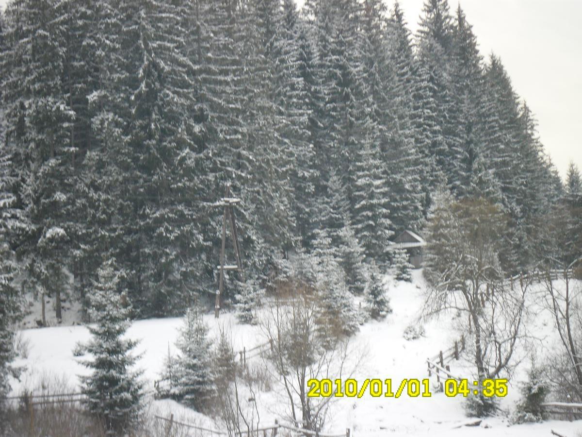 Lisovychok Villa Vorokhta Esterno foto