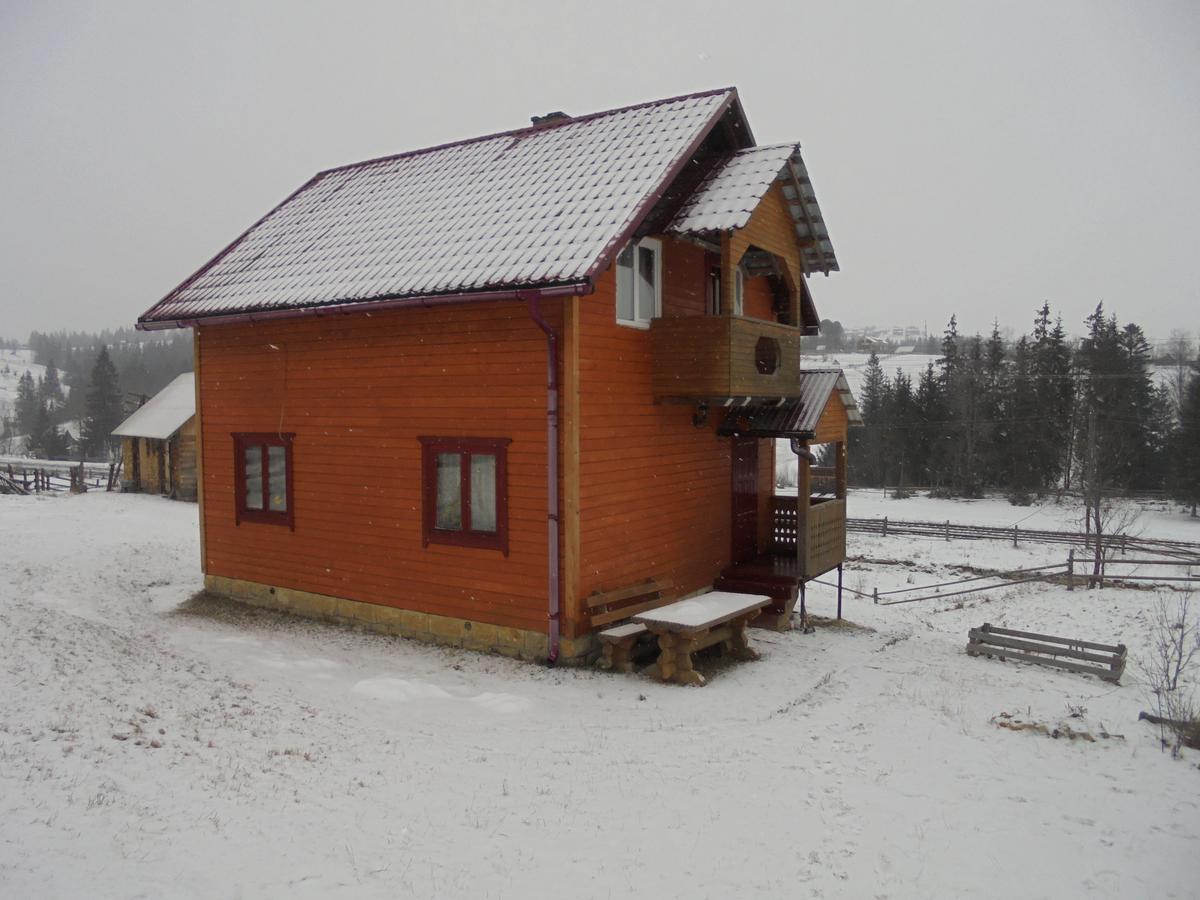 Lisovychok Villa Vorokhta Esterno foto