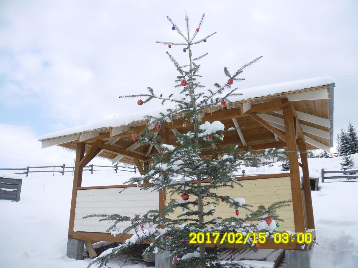Lisovychok Villa Vorokhta Esterno foto