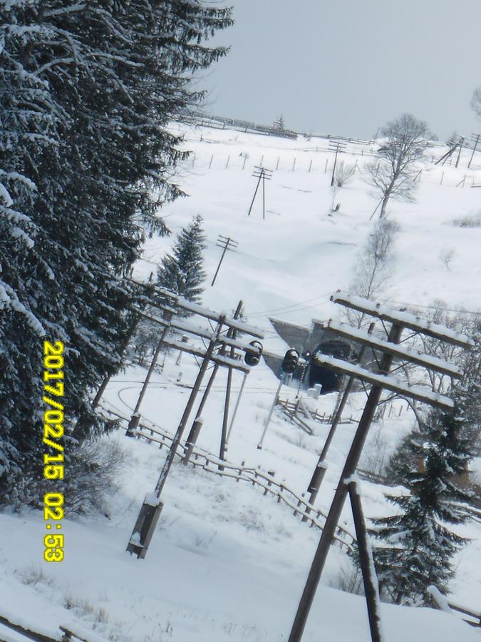 Lisovychok Villa Vorokhta Esterno foto