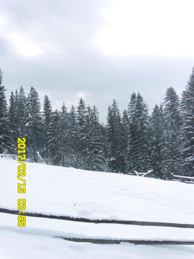 Lisovychok Villa Vorokhta Esterno foto