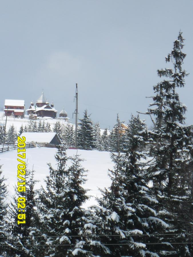 Lisovychok Villa Vorokhta Esterno foto