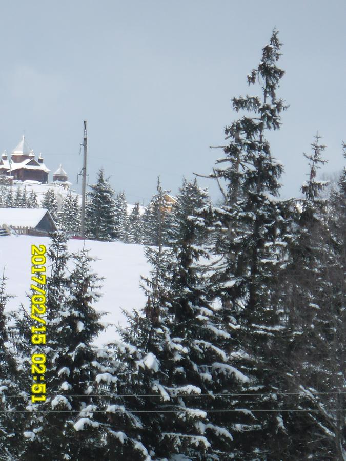 Lisovychok Villa Vorokhta Esterno foto