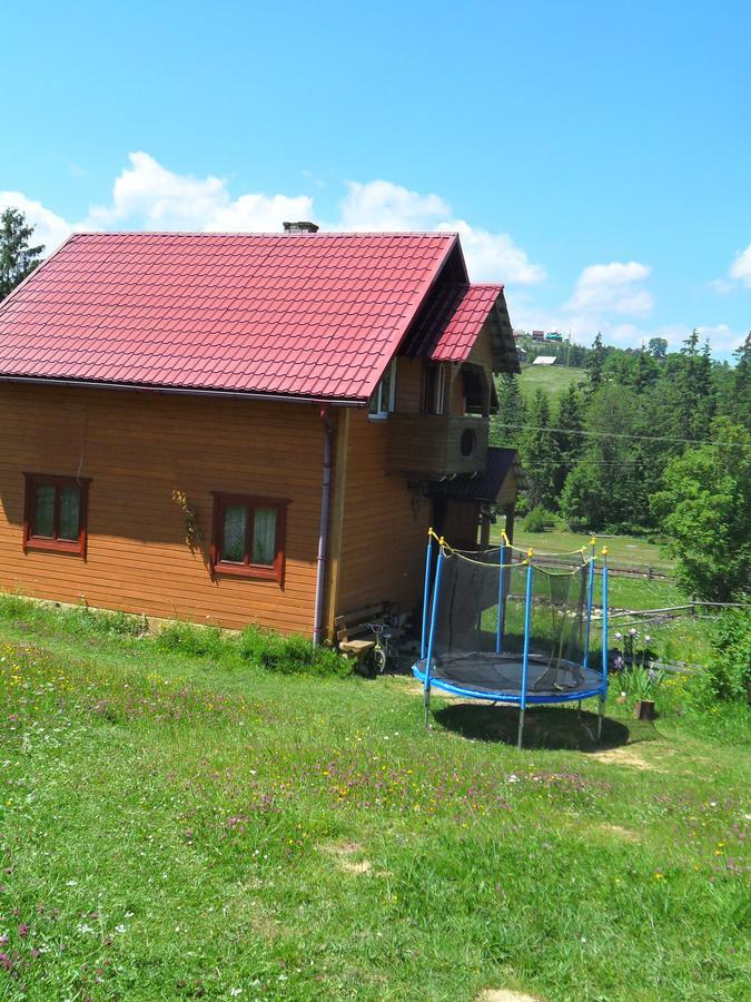 Lisovychok Villa Vorokhta Esterno foto