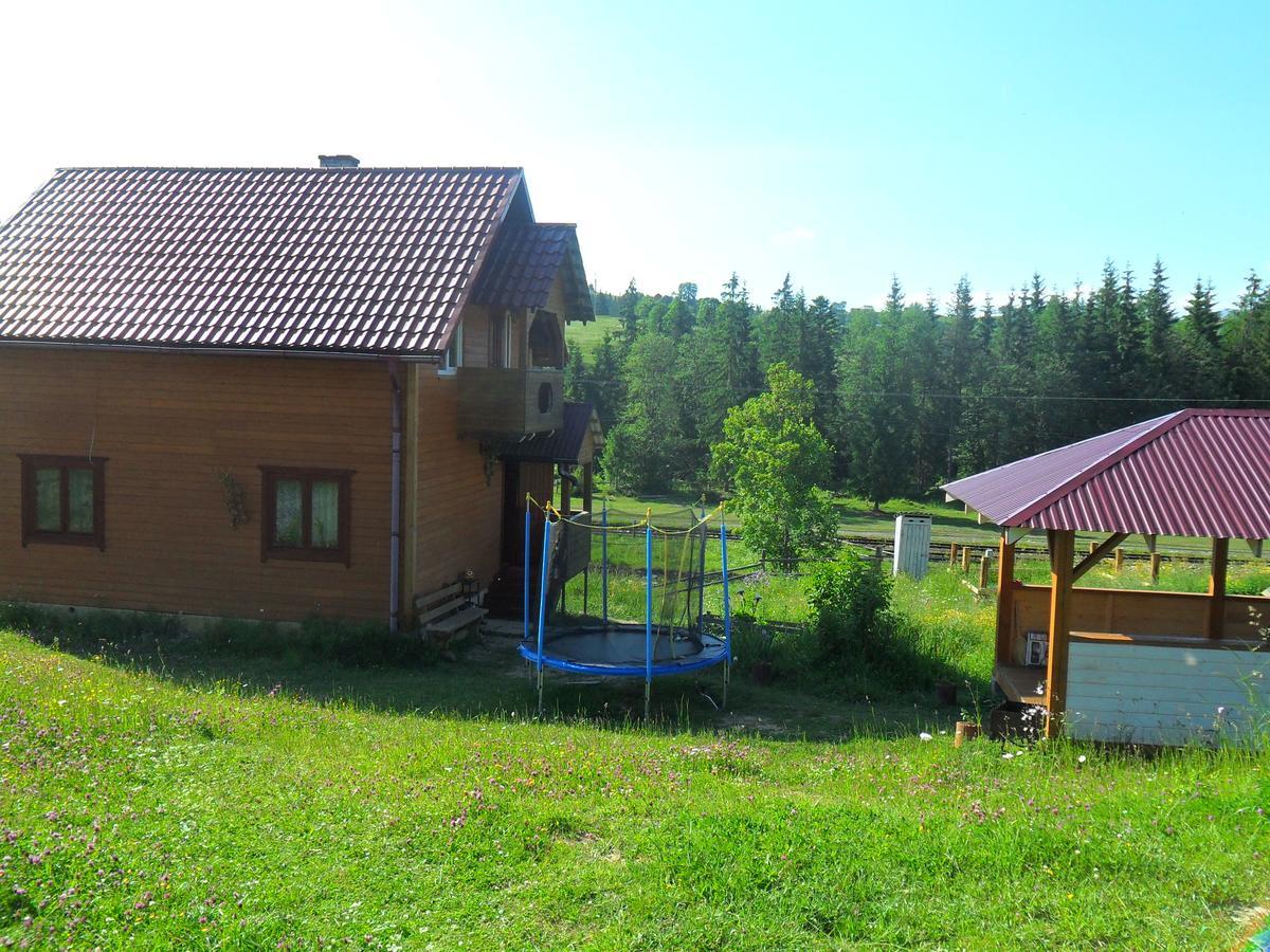 Lisovychok Villa Vorokhta Esterno foto