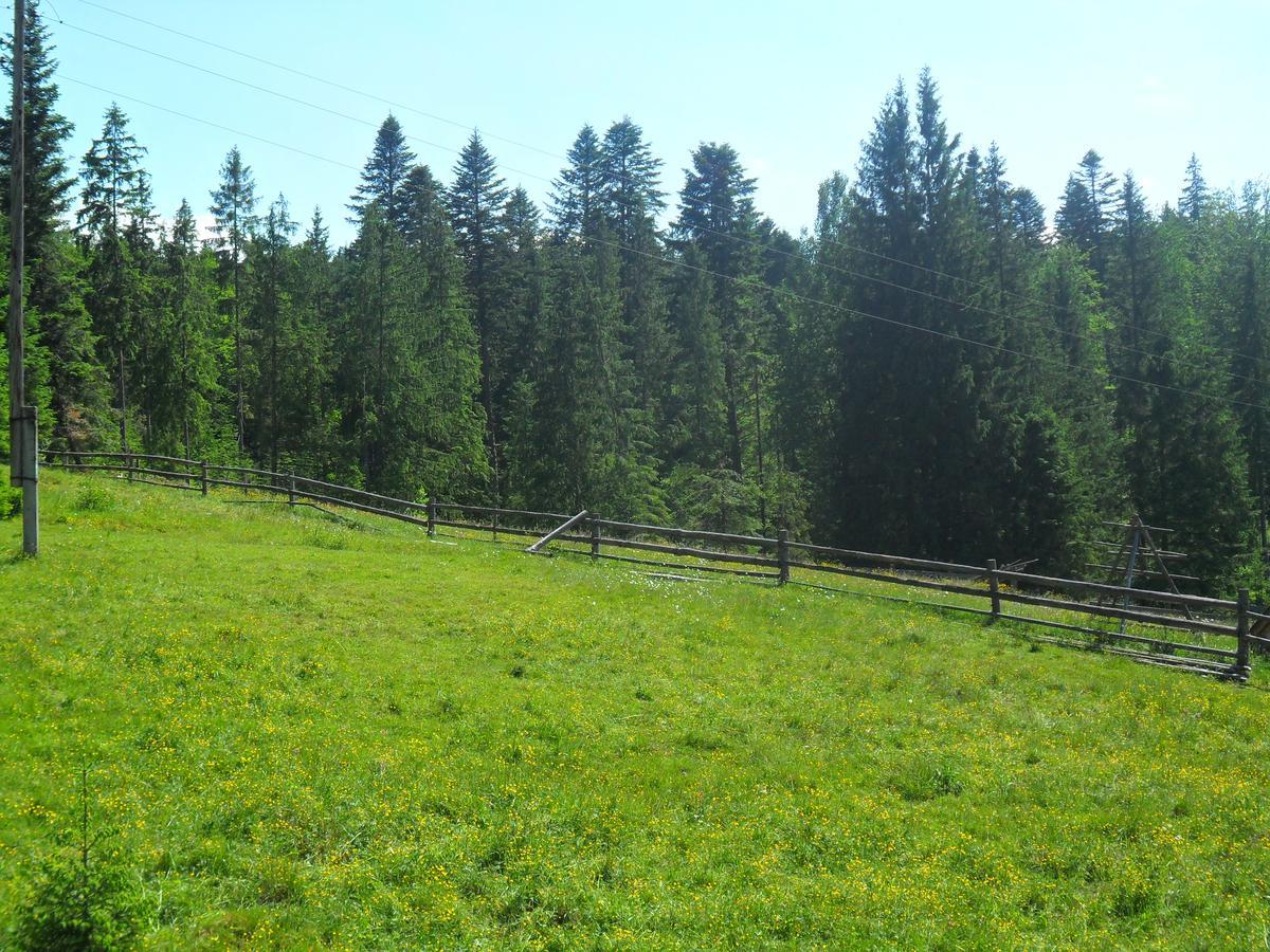 Lisovychok Villa Vorokhta Esterno foto